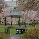 Newly Renovated 2Br W Rare Private Backyard And Bbq