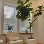 Beautiful Apartment Shared With The Host In The Heart Of Bushwick