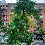 Murray Hill 2Br W Wd Nr Groceries Hospital Nyc-1228