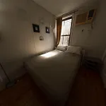Friendly In Williamsburg Brooklyn New York