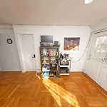Friendly In Williamsburg Brooklyn New York