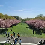 Stay In Historic Brooklyn Townhouse