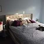 Comfy Room In Fresh Meadows