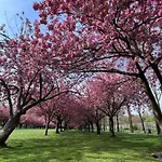 Share This Historic Brownstone With The Host!