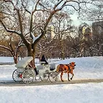 Midtown2 New York City-Steps To Central Park, Time Square, Subway