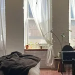 Zen Artist Loft In Williamsburg