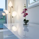 Beautiful 1 Bed Fully Furnished New York