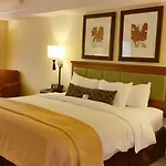 Hotel San Carlos New York