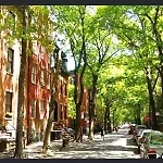 Beauty In The Heart Of The Village