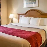 Hotel Comfort Jfk Airport 2*