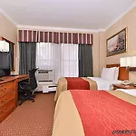 Comfort Chelsea 2*