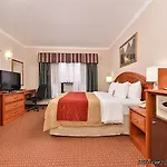 Comfort Chelsea