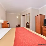 Comfort Chelsea Hotel New York