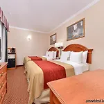 Comfort Chelsea