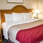 Comfort Jfk Airport Hotel