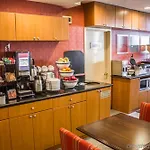 Comfort Jfk Airport Hotel New York