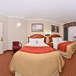 Comfort Chelsea