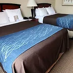 Red Lion And Brooklyn Hotel