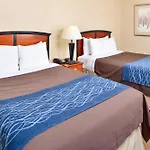 Red Lion And Brooklyn Hotel New York