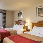 Comfort Jfk Airport Hotel New York