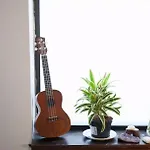Midtown Apartment 5Fw