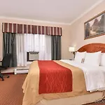 Comfort Chelsea 2*