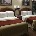 Comfort Chelsea