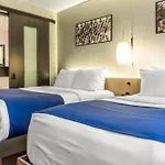 Hotel The Paul Nyc-chelsea, Ascend Collection
