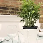 Luxury Sohostyle 2 Bedroom In Downtown Manhattan - Apt #5 Apts