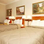 Comfort Chelsea New York
