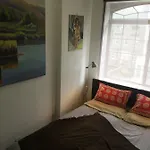 Brooklyn Artist Delight Homestay New York