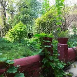 Green Flat With Patio In New York Artistic Best Bushwick