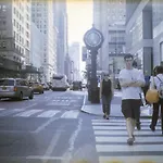 Dom-nyc Haven