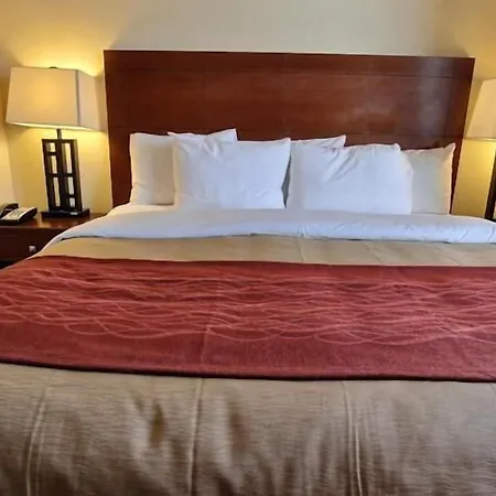Inn Comfort New York