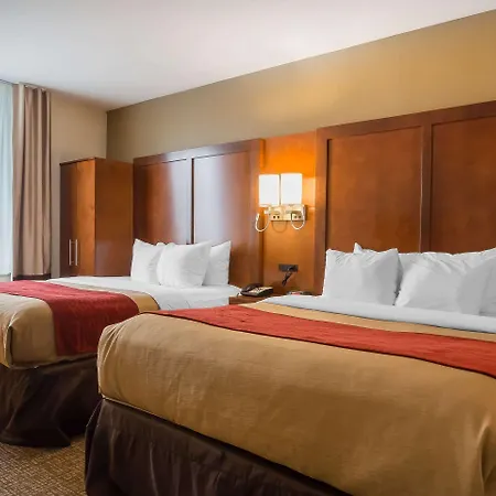 Comfort 4*