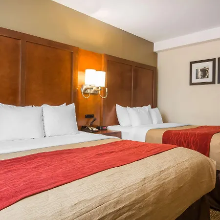 Inn Comfort 4*