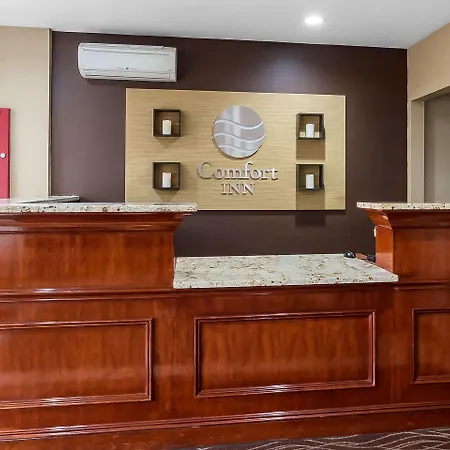 Comfort 4*