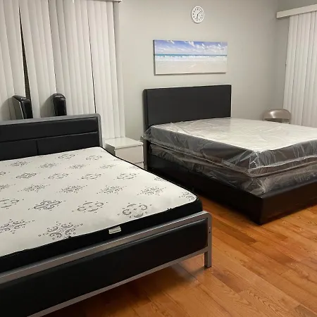Large 1 Bedroom In The Heart Of The Bronx New York