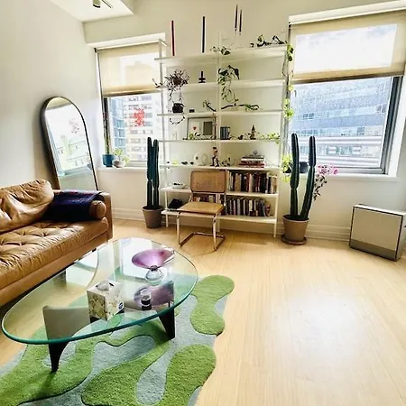 Sunny & Cozy Apt With A Piano In A Hot Brooklyn Neighborhood Apartment