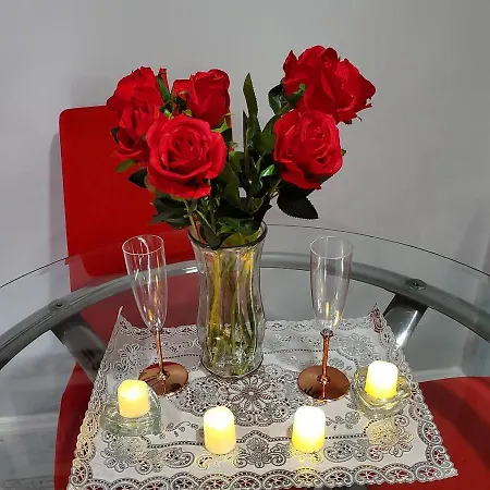 Lovely 2 Bedroom With 2 Entrance And Parking With A Fee Apartment New York