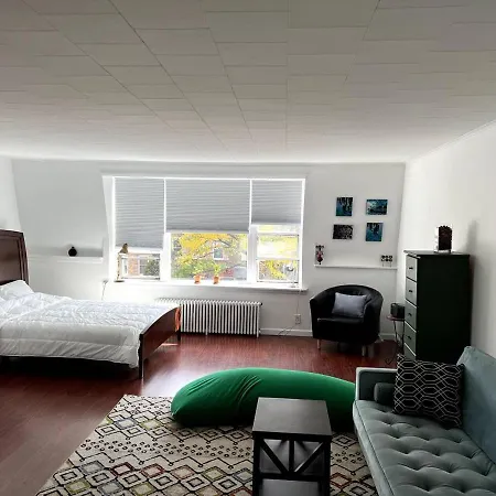 Spacious Studio Near Ditmars Blvd