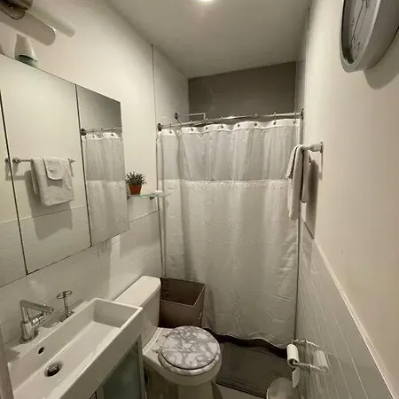 Apartment Modern 1-bedroom In Manhattan-new York, Ny New York