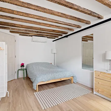 Homestay Cozy, Large And Fully Furnished - Near The L Train
