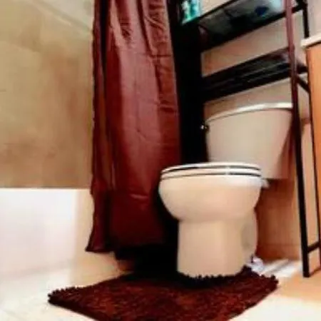Apartment Brooklyn Of Tranquility New York