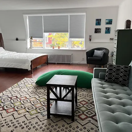 Spacious Studio Near Ditmars Blvd Apartment *