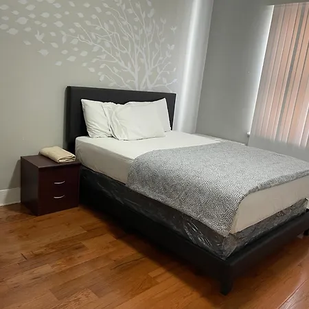 Large 1 Bedroom In The Heart Of The Bronx *