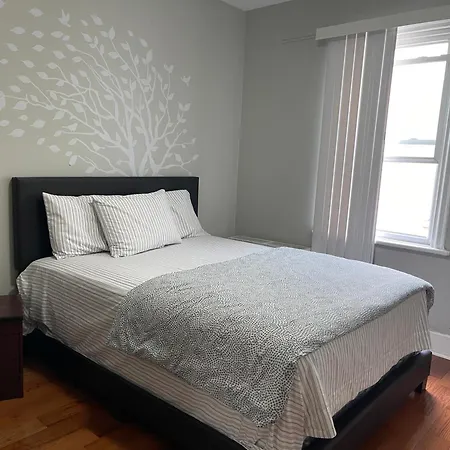 Large 1 Bedroom In The Heart Of The Bronx Apartment *