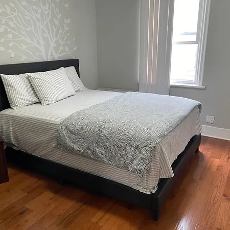 Apartment Large 1 Bedroom In The Heart Of The Bronx New York