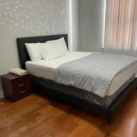 Apartment Large 1 Bedroom In The Heart Of The Bronx