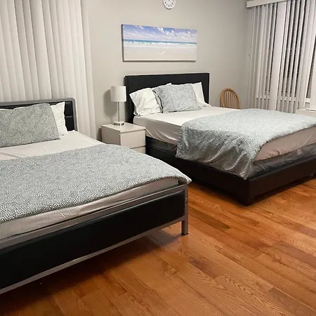 Apartment Large 1 Bedroom In The Heart Of The Bronx *